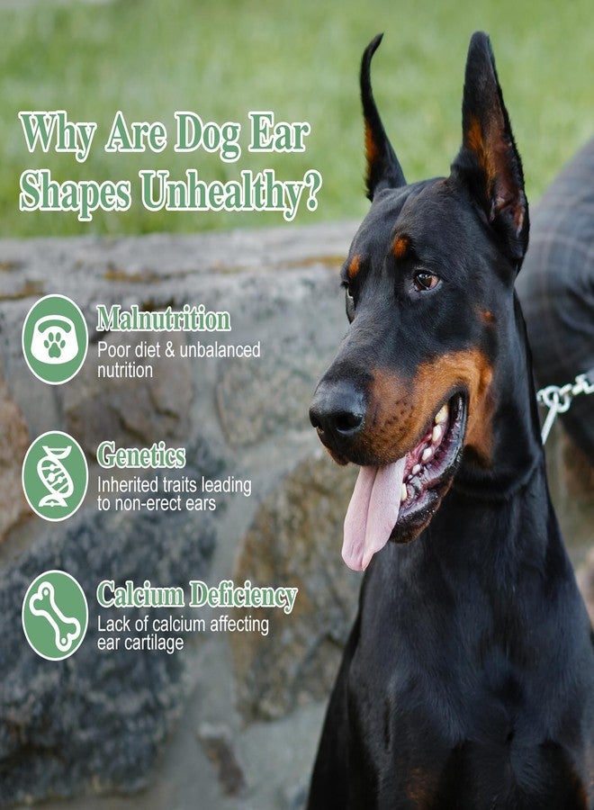FONDOTIN Dog Ear Stand up Support Tool with Tape for Medium Large Breeds Puppy Ear Care Training Aid - Image 5