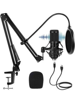 Professional Studio Mic Kit, USB Condenser Microphone with Adjustable Stand, 192KHZ/24BIT, Plug&Play, Professional Studio Podcast Microphone for Recording YouTube Gaming - pzsku/ZB8D538926EE91ACDAB6DZ/45/_/1739965571/8c59cc72-cae9-4d15-b1b8-04cdc319766b