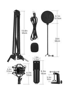 Professional Studio Mic Kit, USB Condenser Microphone with Adjustable Stand, 192KHZ/24BIT, Plug&Play, Professional Studio Podcast Microphone for Recording YouTube Gaming - pzsku/ZB8D538926EE91ACDAB6DZ/45/_/1739965604/8d439ea8-5913-4dcc-abc8-1ac5763b53a6