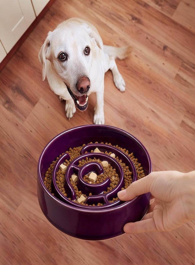 Soniuong Ceramic Slow Feeder Dog Bowl,1.5 Cups Pet Slow Feeder for Small and Medium Breed,Puzzle Dog Food Dish,Anti-Gulping,Stop Bloat,Preventing Choking(Purple) - Image 3