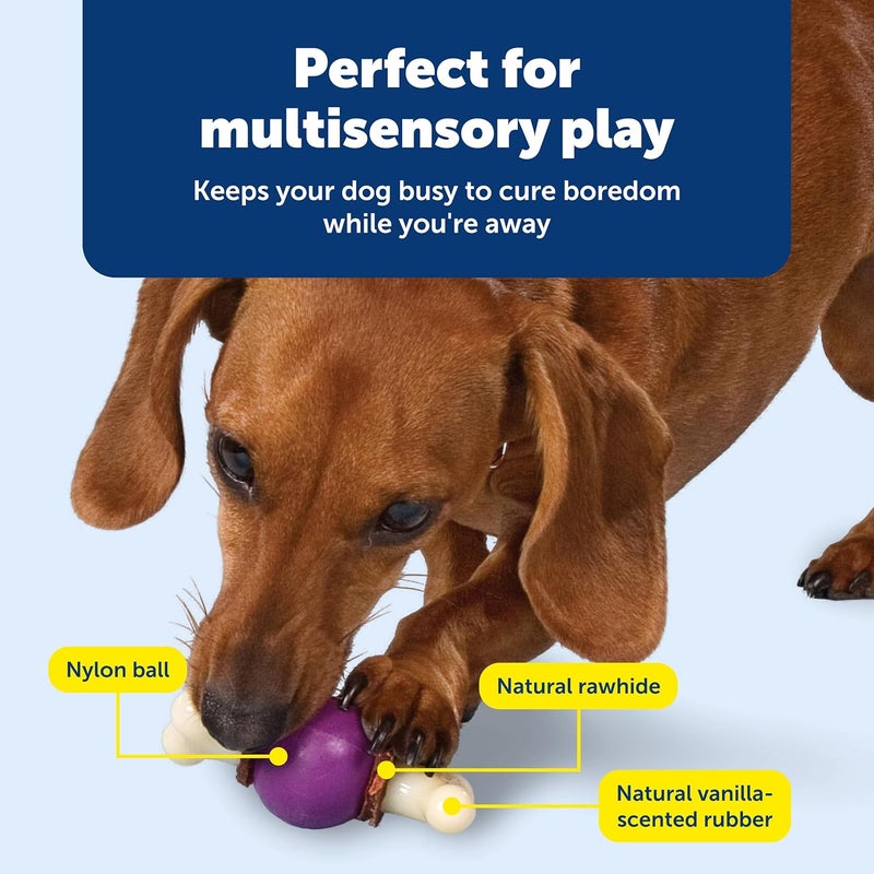 PetSafe Busy Buddy Bouncy Bone Dog Chew Toy for Small Breeds - Image 4
