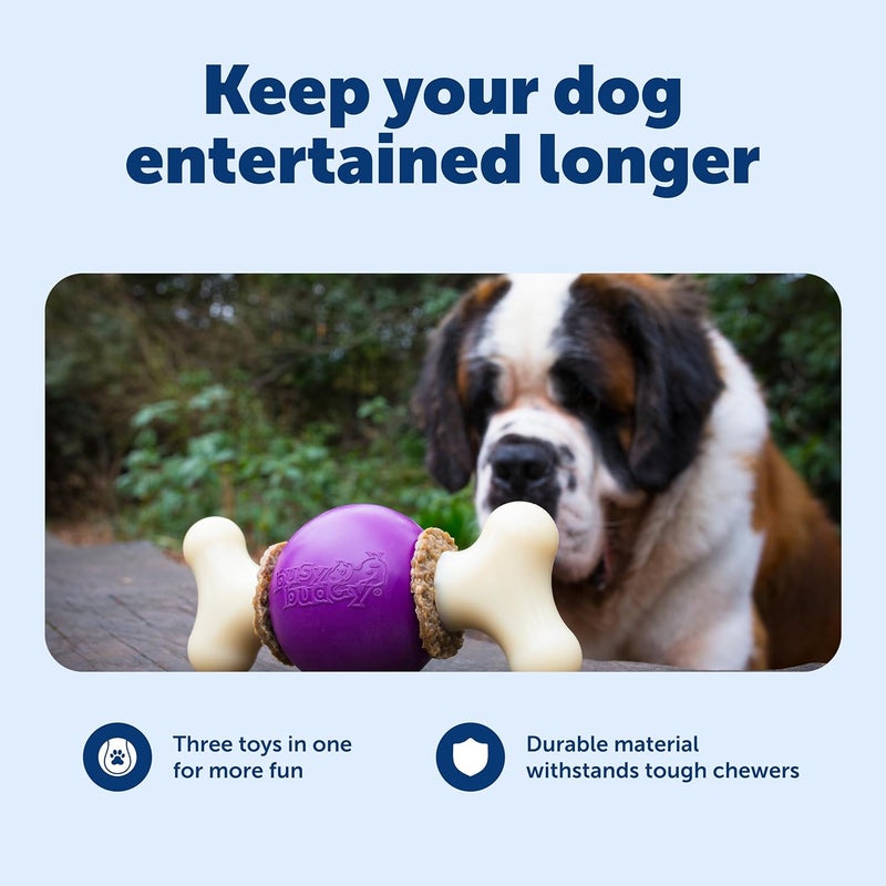 PetSafe Busy Buddy Bouncy Bone Dog Chew Toy for Small Breeds - Image 3