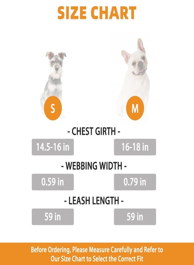 KOOLTAIL Plush Small Dog Harness and Leash Set, Warm Fleece No Pull Puppy Vest for Winter, Lightweight Reflective Step in Pet Harness for Medium Sized Dogs Boy Girl Outdoor Walking Cute Soft, Gray M - Image 2