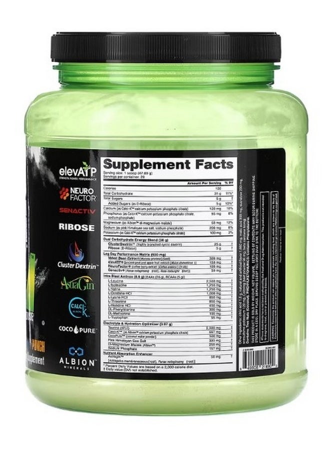 NutraBio Intra Fuel Leg Day New York Punch 2.11 lb 958 g  - Image 2