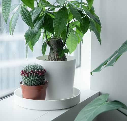 Phoenix Vine 10 Inch Plastic Plant Saucer Water Drip Tray, Heavy Sturdy Round Plant Drainage Tray for Indoors Outdoor, Matte White, 21-TY-10W-1 - Image 3