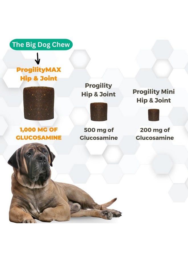 nootie - Nootie ProgilityMAX Hip & Joint Supplement for Large Dogs, Maximum Strength Dog Joint Support with Eggshell Membrane, Glucosamine and Chondroitin, 60 Count - Image 1