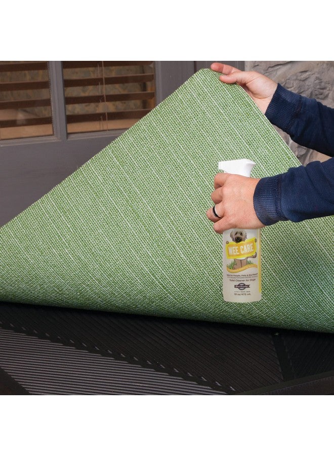 بيت سيف منظف إنزيمي لمرحاض الحيوانات الأليفة من بيت سيف وي كير - قابل للتحلل الحيوي بنسبة 100% - خالٍ من المواد الكيميائية - يزيل البقع والروائح الكريهة - Image 2