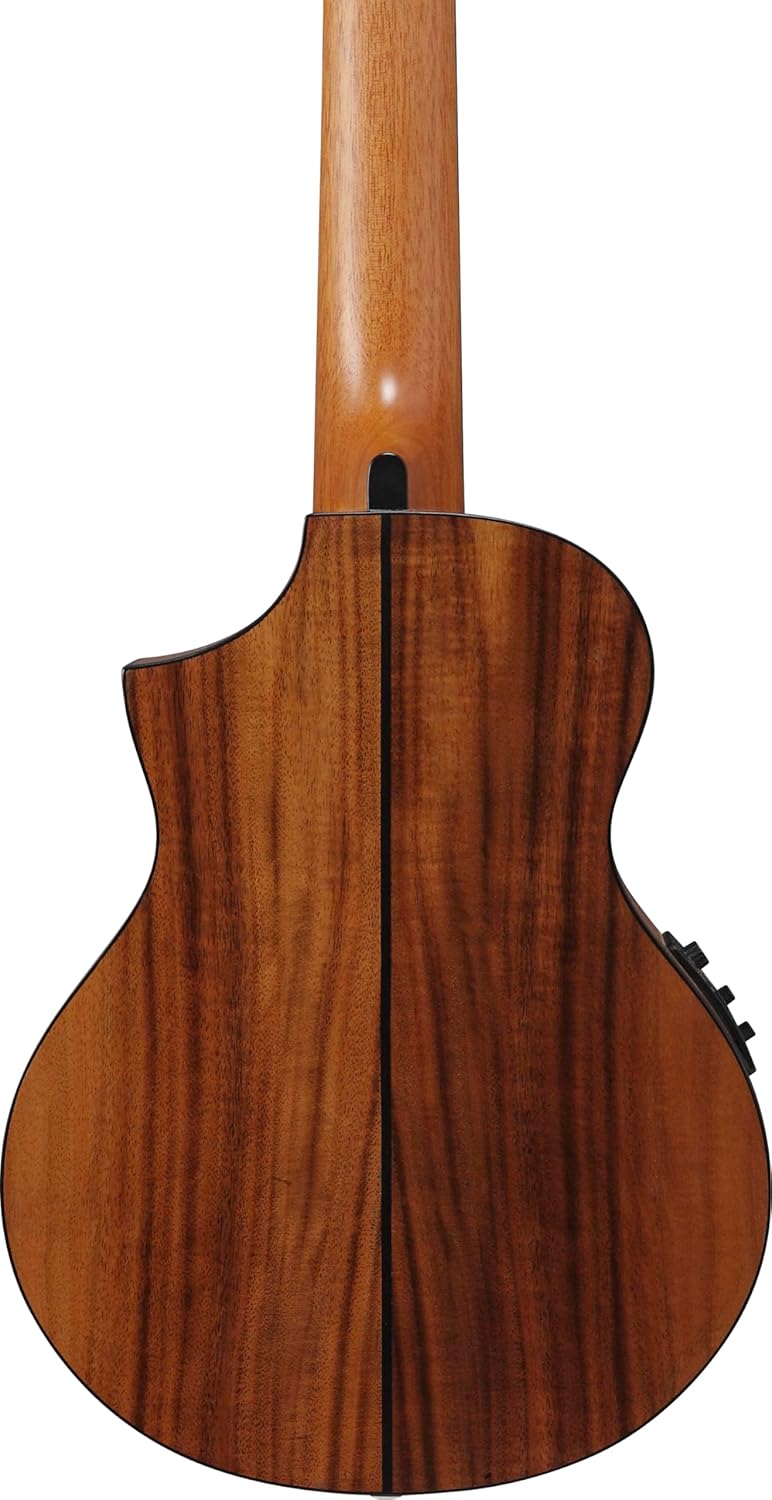 Ibanez إيبانيز EWP12EWB-OPN آلة وترية طبيعية ذات مسام مفتوحة - Image 5