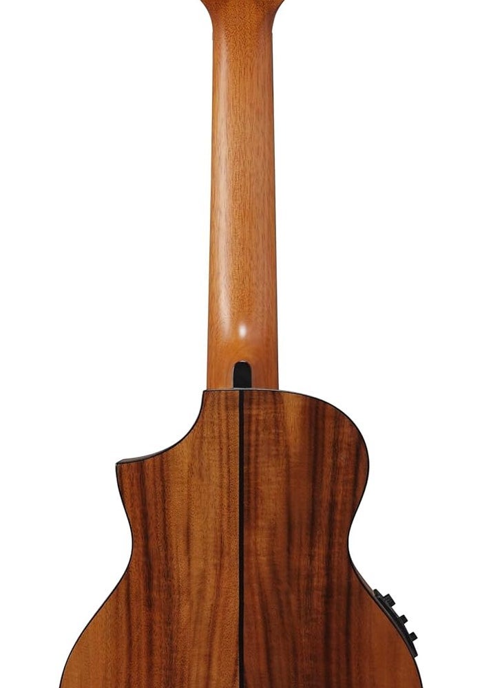 Ibanez إيبانيز EWP12EWB-OPN آلة وترية طبيعية ذات مسام مفتوحة - Image 2