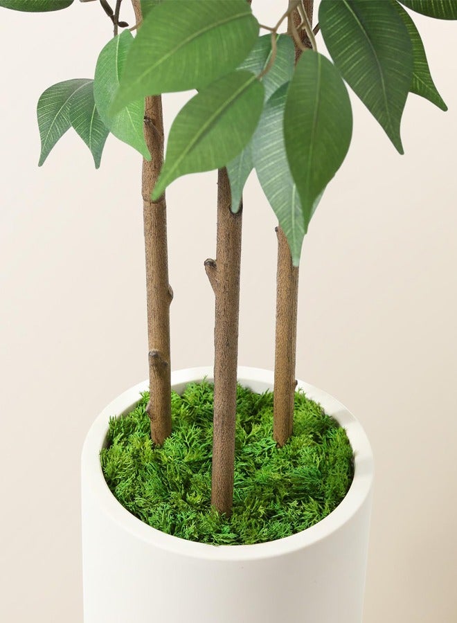 زفيزفيا شجرة فيكوس صناعية بارتفاع 160 سم – شجرة فيكوس صناعية للديكور الداخلي | نباتات زينة منزلية في أصيص سيراميك مقلد أبيض مع طحالب خضراء، نبتة اصطناعية رائعة للمنازل والمكاتب - Image 4