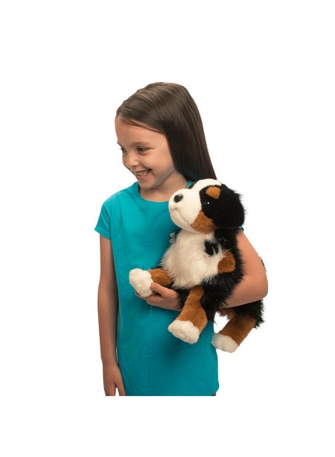 Douglas دوجلاس تريفور كلب بيرنيز الجبلي المحشو - Image 2