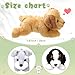 Skylety 3 Pcs 787 Inches Dog Stuffed Animal Plush Dogs Soft Plush Toy Pillow Fluffy Puppy Set for Puppy Birthday Party Favor Home DecorMountain Dog Schnauzer Labrador - Image 2
