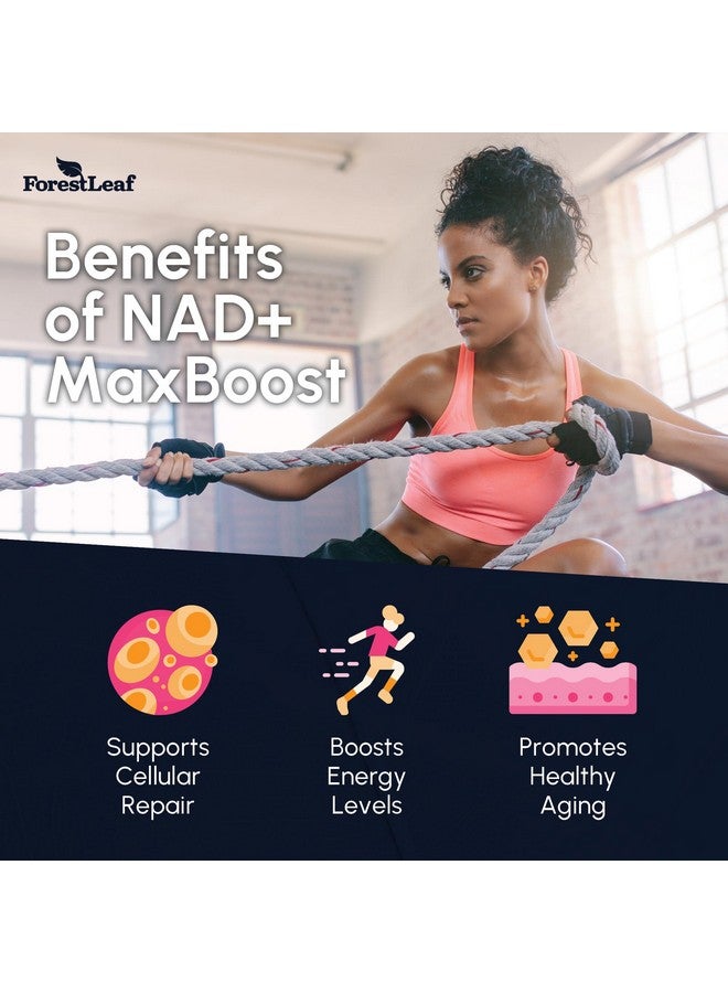 ForestLeaf مكمل NAD، مكمل NAD ريسفيراترول الليبوزومي للنساء والرجال 1200 ملغ مع D-Ribose ورمان NAD+ بلس ماكس بوست لطول العمر، مكافحة الشيخوخة، الطاقة الخلوية، بديل NMN (60 كبسولة) - Image 3