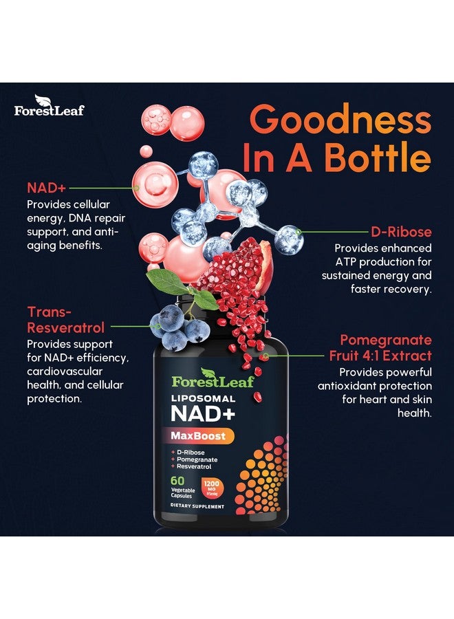 ForestLeaf مكمل NAD، مكمل NAD ريسفيراترول الليبوزومي للنساء والرجال 1200 ملغ مع D-Ribose ورمان NAD+ بلس ماكس بوست لطول العمر، مكافحة الشيخوخة، الطاقة الخلوية، بديل NMN (60 كبسولة) - Image 4