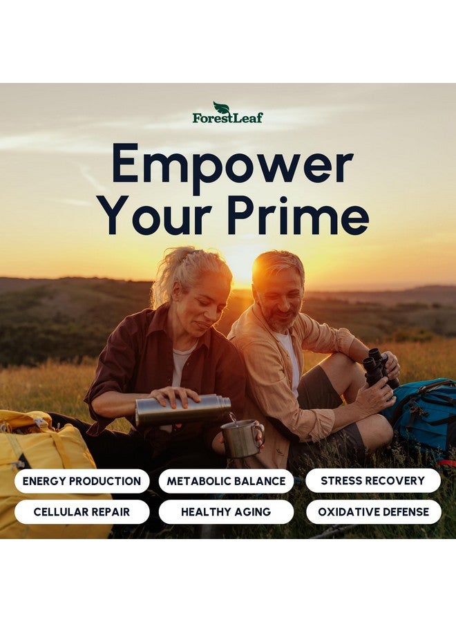 ForestLeaf مكمل NAD، مكمل NAD ريسفيراترول الليبوزومي للنساء والرجال 1200 ملغ مع D-Ribose ورمان NAD+ بلس ماكس بوست لطول العمر، مكافحة الشيخوخة، الطاقة الخلوية، بديل NMN (60 كبسولة) - Image 5