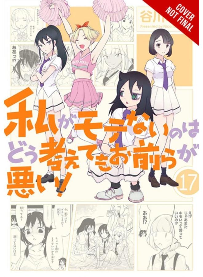 No Matter How I Look at It, It's You Guys' Fault I'm Not Popular!, Vol. 17 