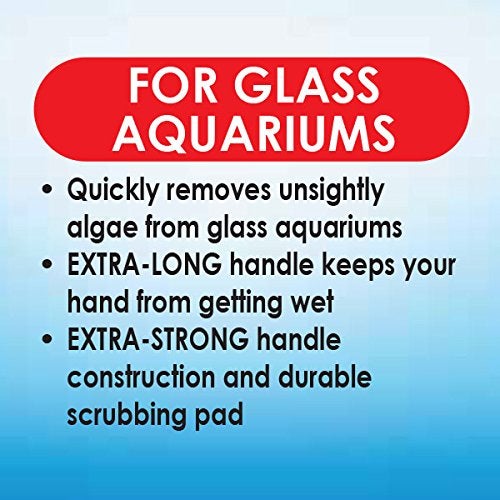 API ALGAE SCRAPER For Glass Aquariums 1-Count Container - Image 2