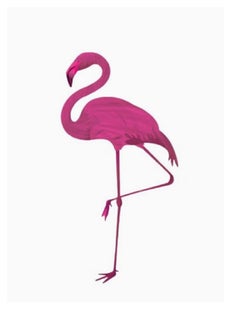 Jardin Flamingo Face Body Scrub Cotton Candy 400gm  - Image 2