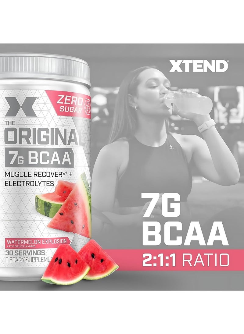 اسكتيند مسحوق إكستند الأصلي BCAA، خالي من السكر بعد التمرين، لاستعادة العضلات، مشروب مع 7 غرام من الأحماض الأمينية BCAA، للرجال والنساء، بنكهة البطيخ المتفجرة، 30 حصة  - Image 5