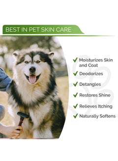 ResQ Organics Hypoallergenic Dog Coat Conditioner- Detangles & Softens Fur, Calms Itching & Dryness, Organic Aloe Vera & Manuka Honey Soothes The Skin, Reduces Dandruff, Shedding, Scratching and More.  - Image 4