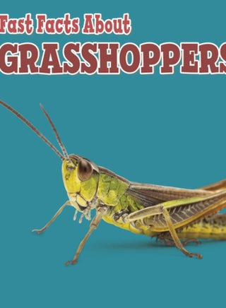 Fast Facts About Grasshoppers - pzsku/ZB8E0430313D259B2B4C1Z/45/_/1694262269/6ade7e80-fc77-4a30-af03-a689ec83e376
