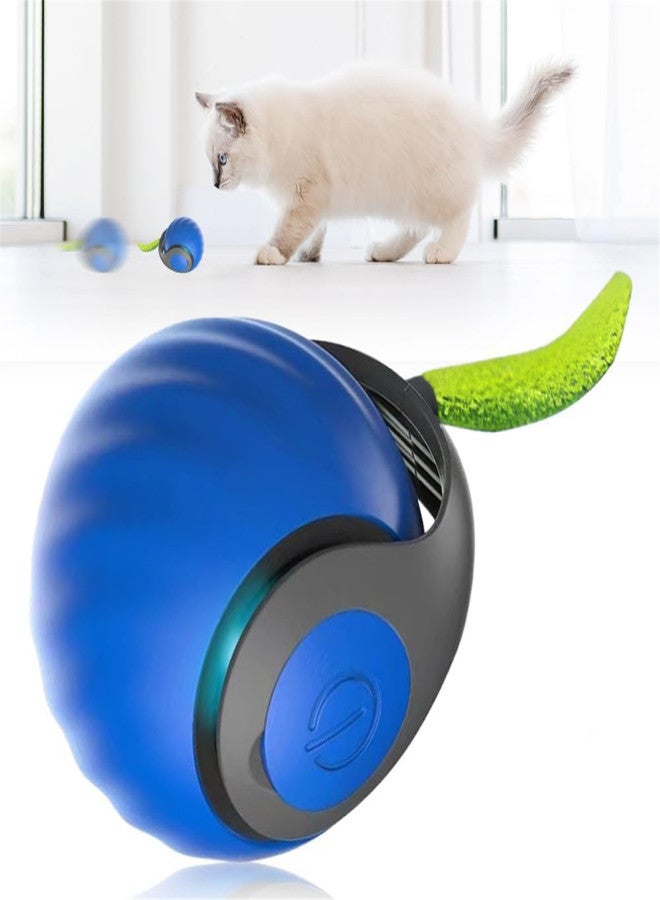 Pet intelligent chasing toy ball, protruding ball, indoor interactive teasing cat ball, bite automatic moving cat toy, protruding ball - Image 1