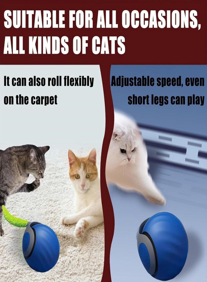 Pet intelligent chasing toy ball, protruding ball, indoor interactive teasing cat ball, bite automatic moving cat toy, protruding ball - Image 4