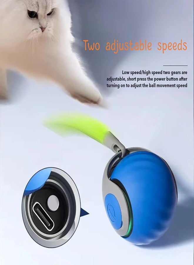 Pet intelligent chasing toy ball, protruding ball, indoor interactive teasing cat ball, bite automatic moving cat toy, protruding ball - Image 5