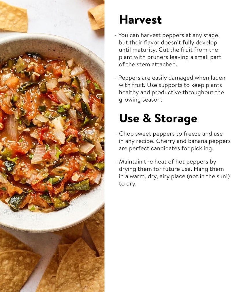 Burpee Big Daddy Sweet Pepper Seeds 40 seeds - Image 4