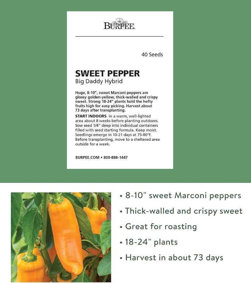 Burpee Big Daddy Sweet Pepper Seeds 40 seeds - Image 2