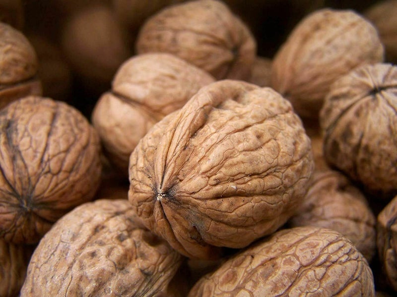 B-LOYAL Walnut Shell Grid Size 80 10 KG for Scrub Formulation - Image 4