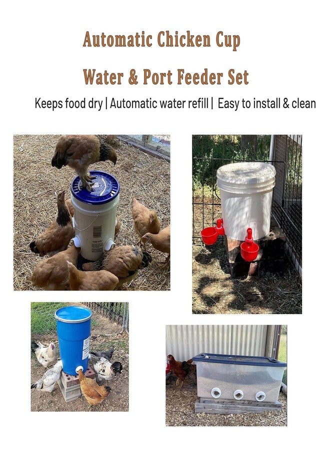 Bkotoo Chicken Feeder Waterproof and Chicken Waterer Cup, 6pcs No Waste Chicken Feeder for Buckets,Barrels,Bins, and 6pcs Chicken Water Cups for Chickens, Birds, Turkeys etc - Image 4