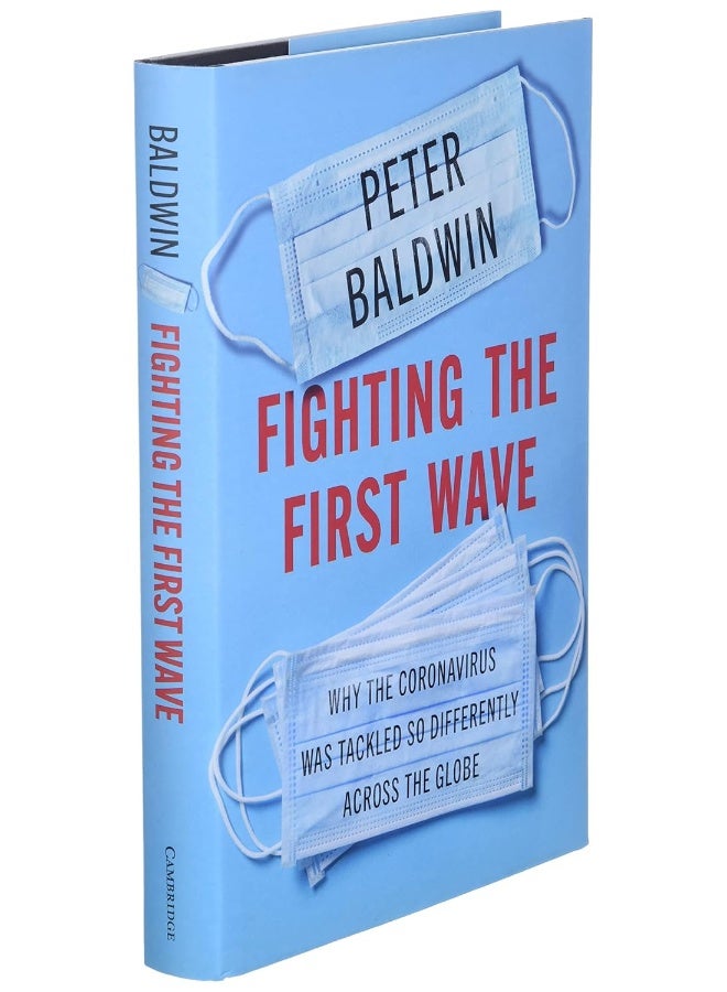 Fighting the First Wave: Why the Coronavirus Was Tackled So Differently Across the Globe - Image 3