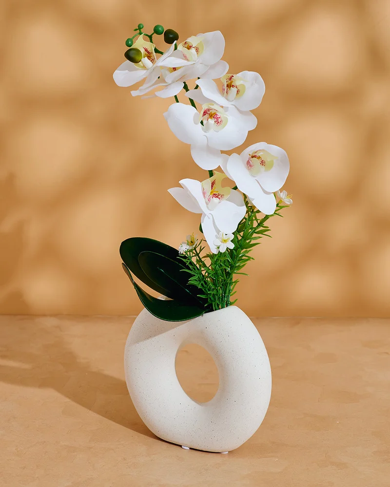 REDTAG White Orchid In Circle Vase 50x40Cm