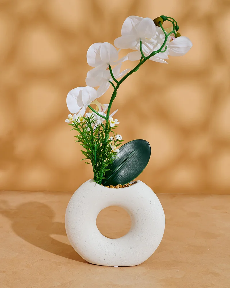 REDTAG White Orchid In Circle Vase 50x40Cm