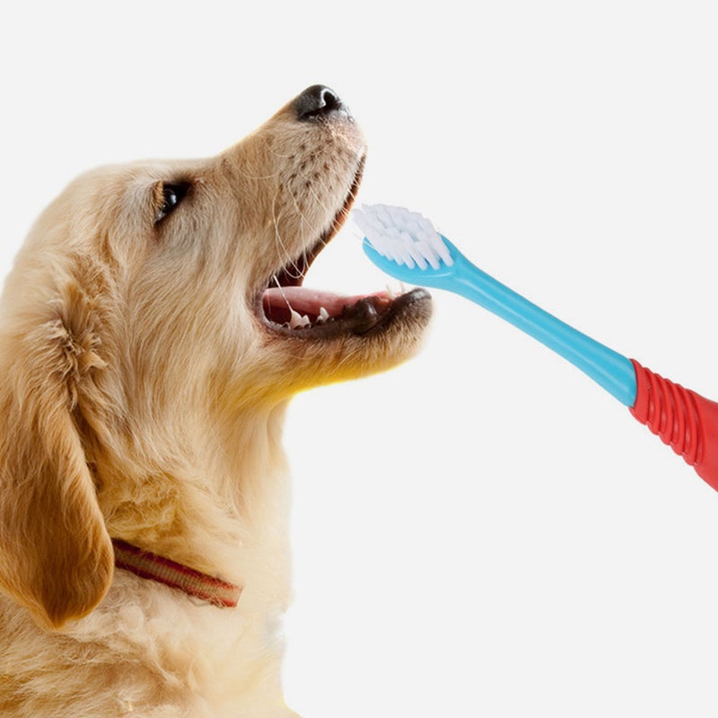 🐾 فرشاة أسنان للكلاب بمقبض مريح ورأس مزدوج للتنظيف اللطيف - Image 3