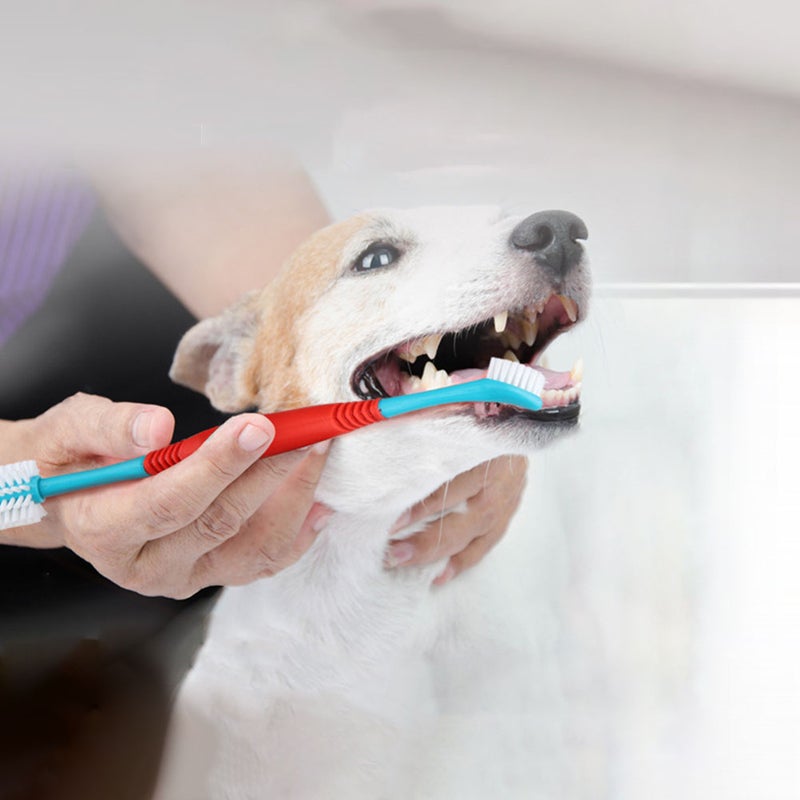🐾 فرشاة أسنان للكلاب بمقبض مريح ورأس مزدوج للتنظيف اللطيف - Image 2
