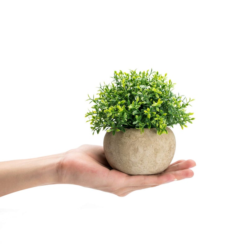 Velener Velener 2Pcs Mini Artificial Boxwood Topiary Faux Plants Indoor- Small Fake Plants Decor Magnolia Home Office Desk Cubicle Farmhouse Kitchen Bookshelf Bedroom Bathroom Decor  Aloe Vera Zen Garden  - Image 3