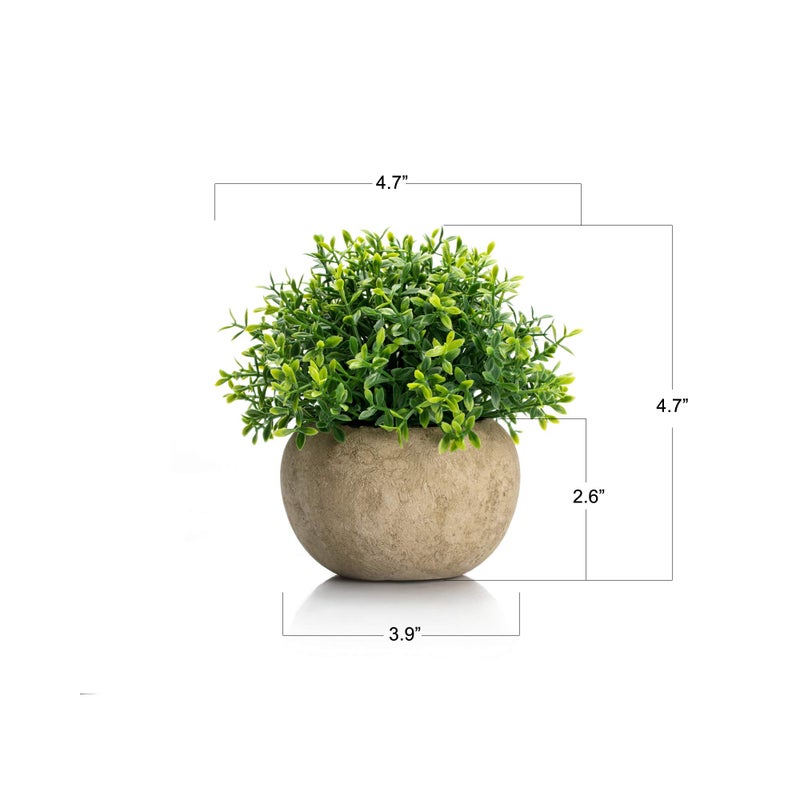 Velener Velener 2Pcs Mini Artificial Boxwood Topiary Faux Plants Indoor- Small Fake Plants Decor Magnolia Home Office Desk Cubicle Farmhouse Kitchen Bookshelf Bedroom Bathroom Decor  Aloe Vera Zen Garden  - Image 2