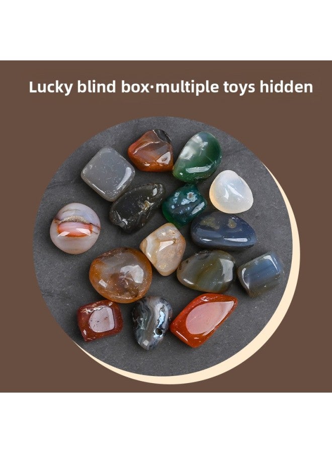 Internet Red Toys Night Market Stall Toys Boys Science And Education Toys Fossil Archaeological Gem Toys Gifts-Color:{Q2 Archaeological Fossil} Color Box Ore - Image 4