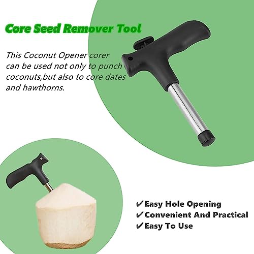 Baskety Stainless Steel Coconut Opener Driller Knife Tool with Cleaning Stick Easy Fresh Coconut Water Opener Meat Remover (Pack of 4) - Image 3