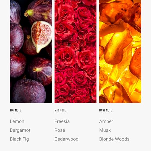 AROMA360 زيت معطر مجموعة الفنادق - مخمل أسود - زيت عطرية أساسية - خشب أشقر، ورد، وتين أسود - 500 مل 16.9 أونصة سائلة - Image 4