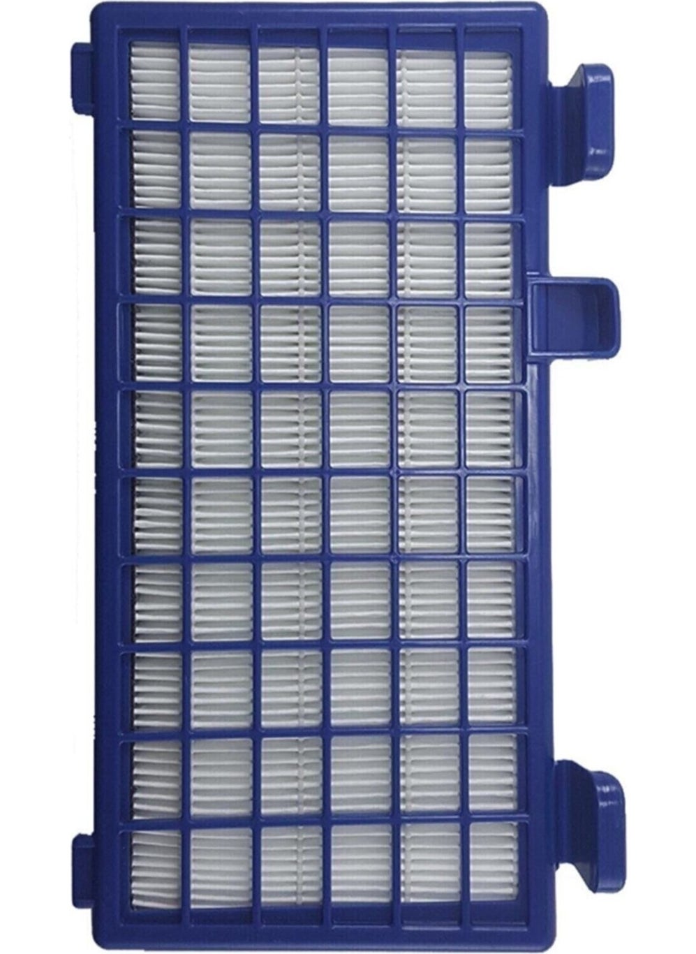 Rowenta Ro 6221 Vacuum Cleaner Hepa Filter 