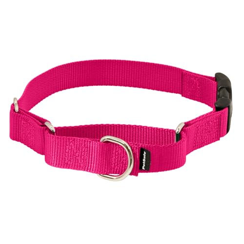 PetSafe Martingale Collar with Quick-Snap Buckle - Adjustable No-Slip Quick Release Dog Collar - Everyday Wear No-Pull Training Aid - 1" Wide - Medium - Raspberry - Image 1