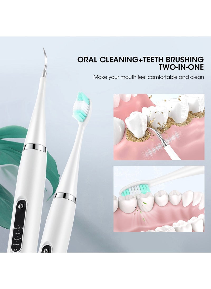 DubaiGallery - Teeth Cleaner For Teeth Cleaning Tool Kit, Electric Oral Cleaner, With Replaceable Cleaning Heads - Image 1