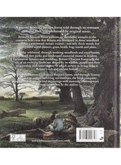 Britain's Ancient Forest: Legacy and lore  - Image 1