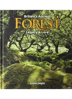 Britain's Ancient Forest: Legacy and lore  - Image 2
