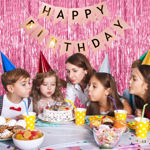 AMONE 3 Pack Pink Backdrop Birthday Party Decorations Tinsel Foil Fringe Curtains Backdrop Streamer Bachelorette Christmas Graduation Wedding Princess Pink Theme Party Decorations - Image 5