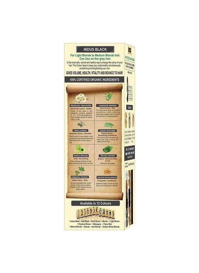 Indus Valley - Certified Organic Indus Black Hair Colour Dermatologist Recommended Chemical Free Hair Colour (120G *2=240G) Set Of 2 - Image 1