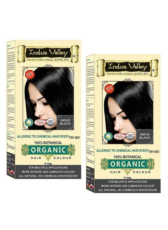 Indus Valley - Certified Organic Indus Black Hair Colour Dermatologist Recommended Chemical Free Hair Colour (120G *2=240G) Set Of 2 - Image 1